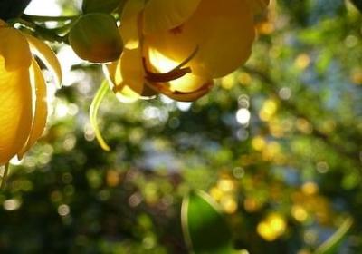 欺可以组什么词语(热门41句)