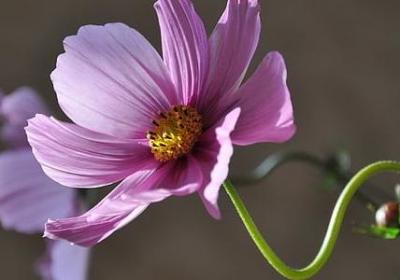 横竖近义词语(汇总40句)