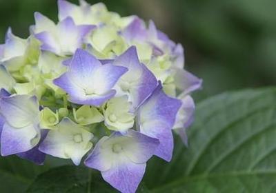 沙换偏旁组词语(必备40句)