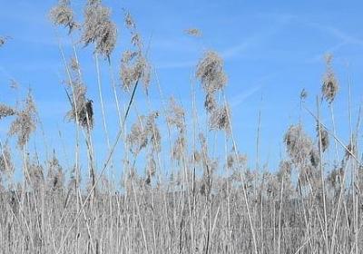 热烈的什么填空词语(实用10句)