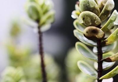 煤字四字词语(必备10句)