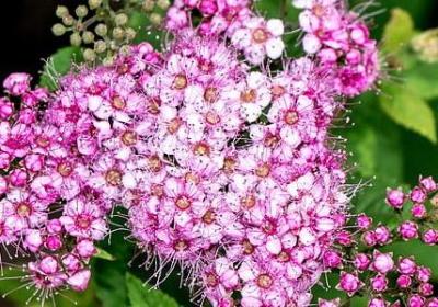 津津有味类似的词语有(实用58句)