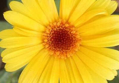 浓密的什么填词语(优选10句)