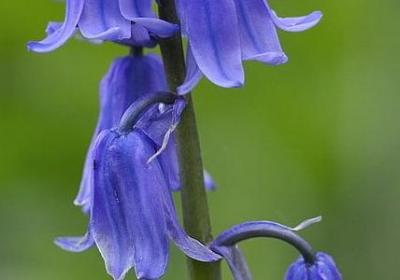 眼睛的睛组词语(共50句)