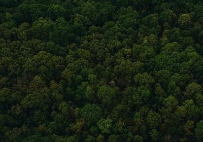 秋天有哪些词语(实用11句)