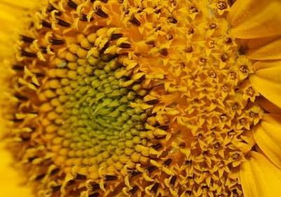 百组词语有哪些(必备54句)