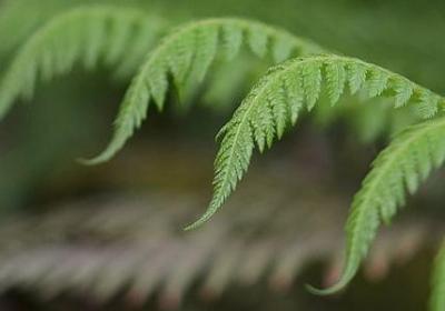 神采奕奕照样子写词语(合集60句) 神采奕奕照样子写词语(合集60句)