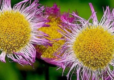 确是是词语吗(63句) 确是是词语吗(63句)