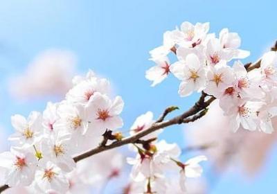 舞蹈场面的词语(必备31句)