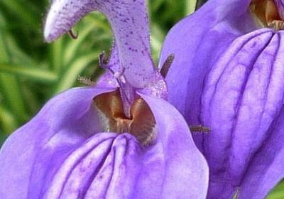 表示变化快的四字词语(通用40句) 表示变化快的四字词语(通用40句)