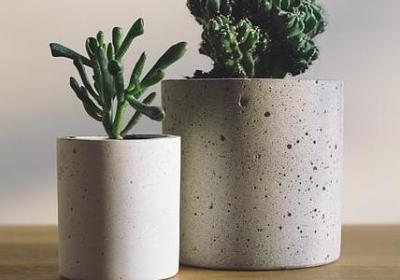 表示好听的词语(通用40句)