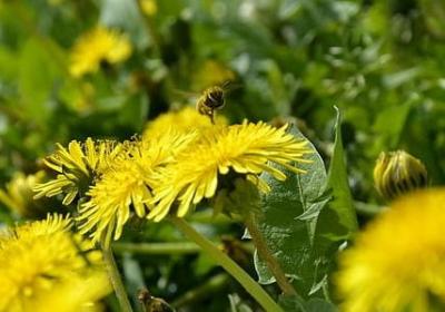 表示夏天炎热的词语(热门70句)