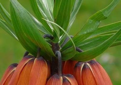 表是说的词语有那些(精选12句) 表是说的词语有那些(精选12句)