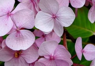 表示知道的词语(汇总50句)