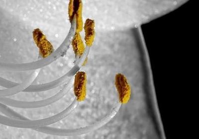 衣食住行类似的词语(精选15句)