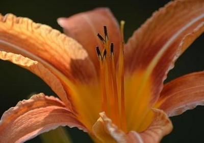 表示心情不好的词语(50句)