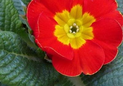 表示团结的四字词语(59句)