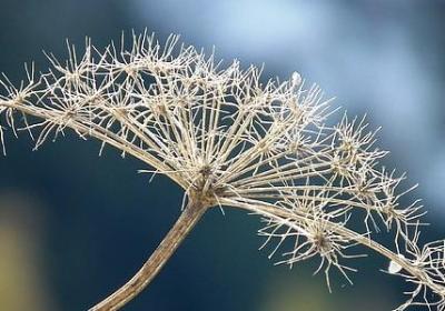 表示欢快的词语(必备68句)
