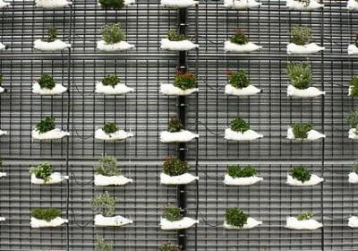 表示天空的词语(优选61句)