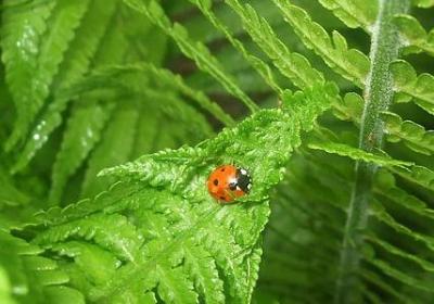 表达该放手了的词语(合集70句)