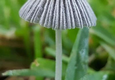 谙组词有哪些词语(必备11句) 谙组词有哪些词语(必备11句)