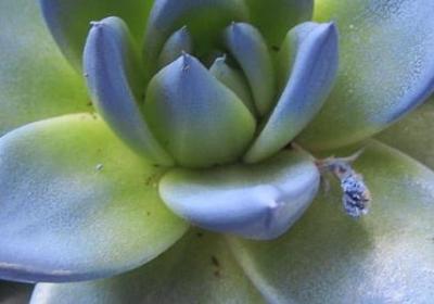 评论人的词语(推荐70句)