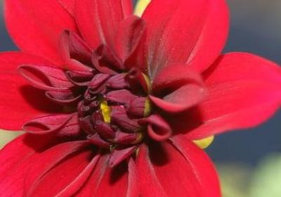 表达赢的词语(50句)