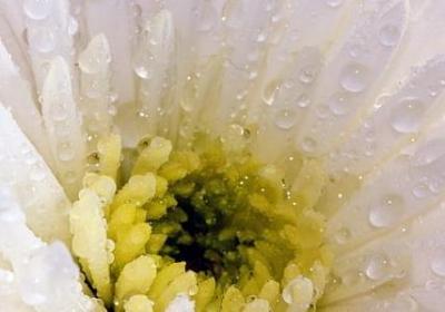 褒义四字词语(必备59句)