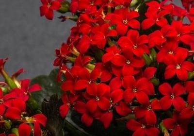 表示颓废的词语(共40句)