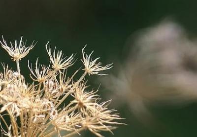 请勿是词语吗(50句)