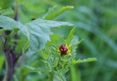 表示青色的词语(20句)