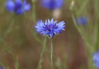 霎时相近的词语(实用60句)