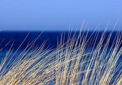 铁可以组什么词语(共41句)