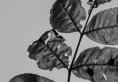 有关城市的名言(合集49句)