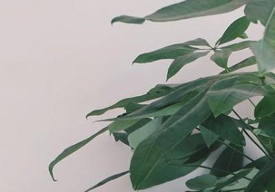 有关旅游的名言(通用98句)