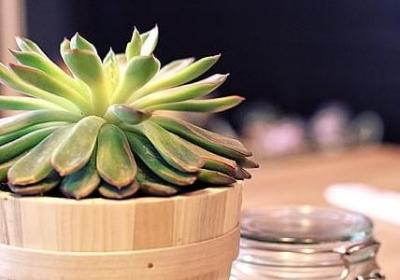 校园安全名言(优选60句) 校园安全名言(优选60句)