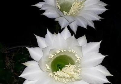 陆怎么组词语(共70句)