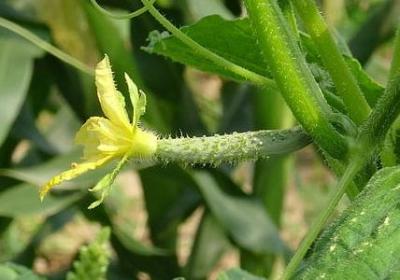 朋友之间的名言(40句) 朋友之间的名言(40句)