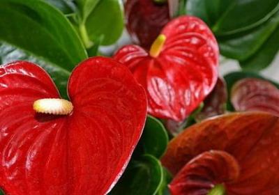 道组词有哪些词语(11句)