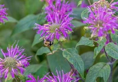 有意义的名言(实用60句)