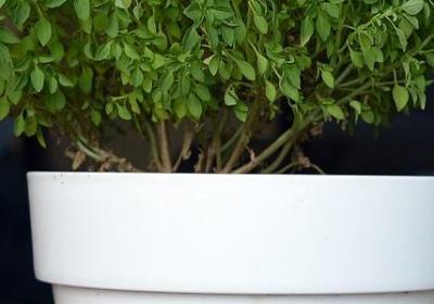 激励名人名言(推荐20句)