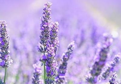 热爱工作的名言(推荐80句) 热爱工作的名言(推荐80句)