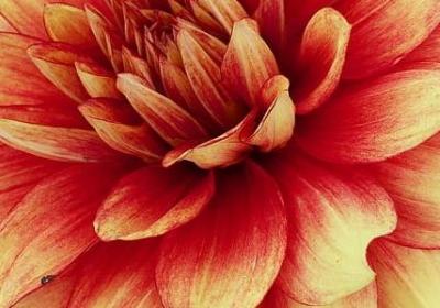 母爱诗句名言(优选44句)