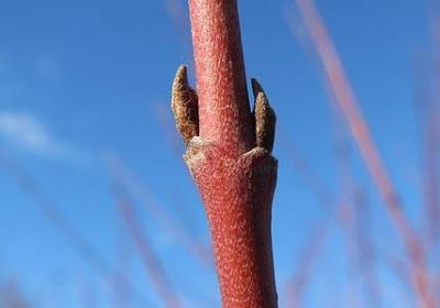 短句励志名言(汇总50句)