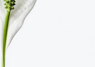 爱读书的名人名言(优选78句)