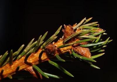 生活感悟名言(必备50句) 生活感悟名言(必备50句)