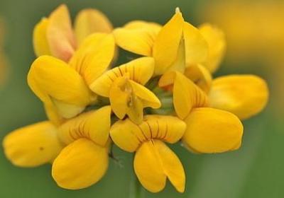 知识的名言名句(通用60句)