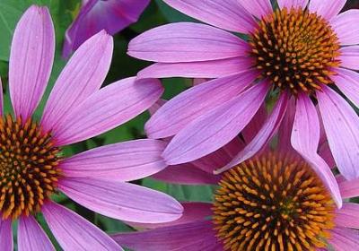 李嘉诚理财名言(优选40句)