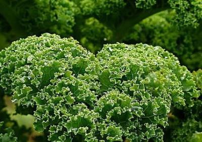 爱迪生的名人名言(优选20句)