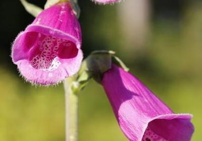 生活态度的名言(汇总80句)